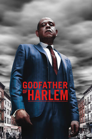 Godfather of Harlem poszter