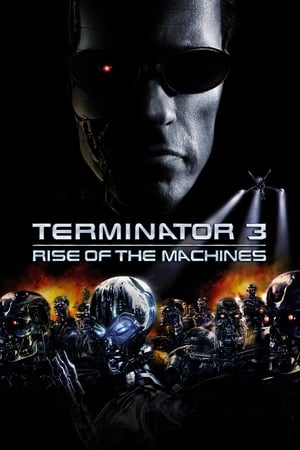 Terminátor 3. - A gépek lázadása poszter