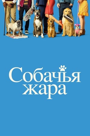 Kutya egy nyár poszter