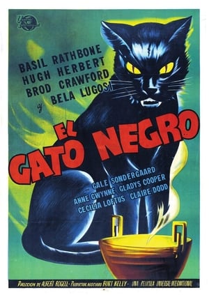 The Black Cat poszter