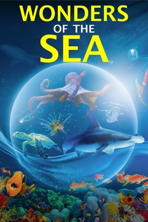 Wonders of the Sea 3D