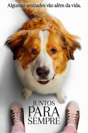 Egy kutya négy útja poszter