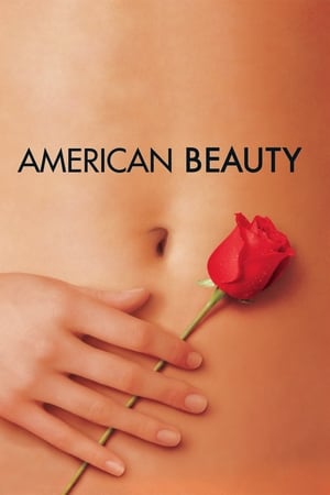 Amerikai szépség poszter
