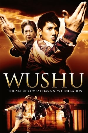 Wushu - A fiatal generáció