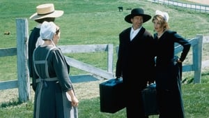 Szegény embert az Amish húzza háttérkép