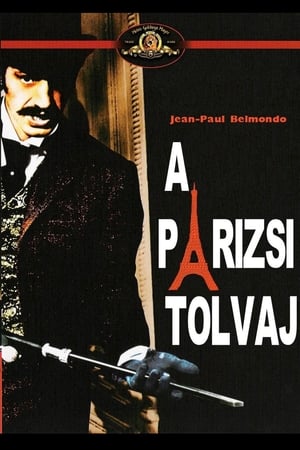 The Thief of Paris DVD 1967 A tolvaj (Le voleur) / Directed by