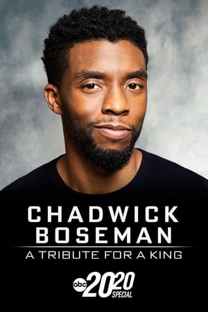 Chadwick Boseman:  A Tribute for a King poszter