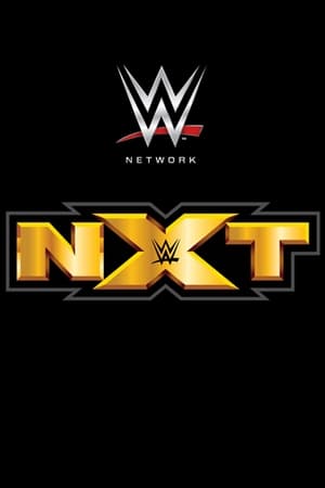 WWE NXT poszter