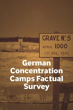 A német koncentrációs táborok tényszerű feltárása
