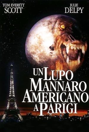 Egy amerikai farkas Párizsban poszter