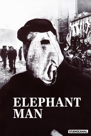 Az elefántember poszter