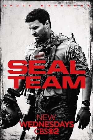 SEAL Team poszter