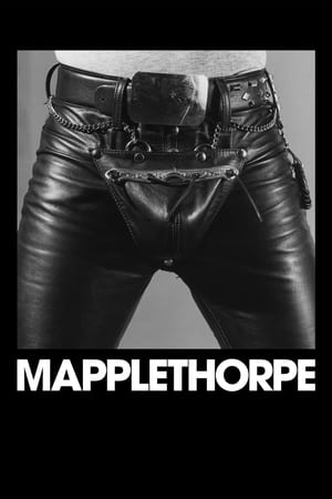 Mapplethorpe poszter